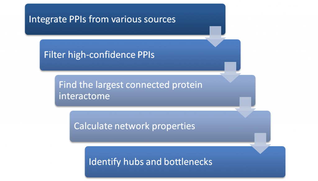 The process how TargetMine identifies hubs and bottlenecks.